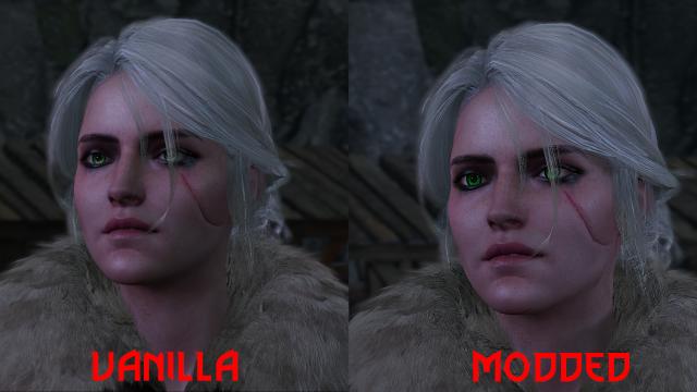 Lore Friendly Eyes for The Witcher 3