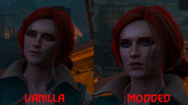 Lore Friendly Eyes for The Witcher 3