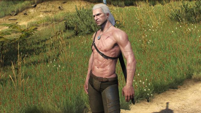 Худорлявий, але м'язистий Геральт / Skinnier Geralt's torso для The Witcher 3