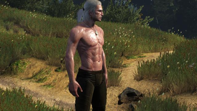 Худорлявий, але м'язистий Геральт / Skinnier Geralt's torso для The Witcher 3