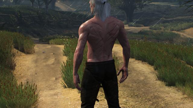 Худорлявий, але м'язистий Геральт / Skinnier Geralt's torso для The Witcher 3