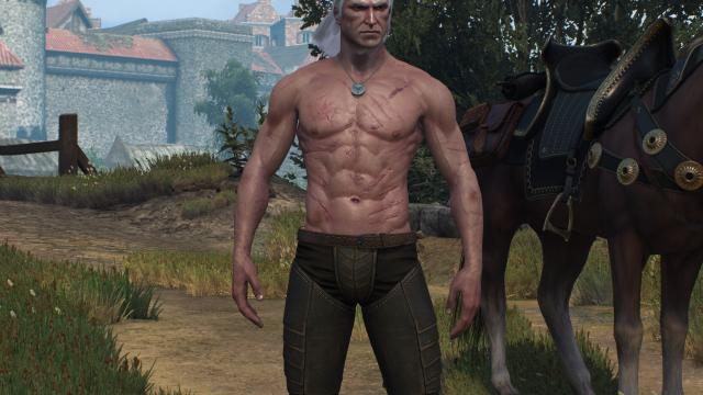 Худорлявий, але м'язистий Геральт / Skinnier Geralt's torso для The Witcher 3