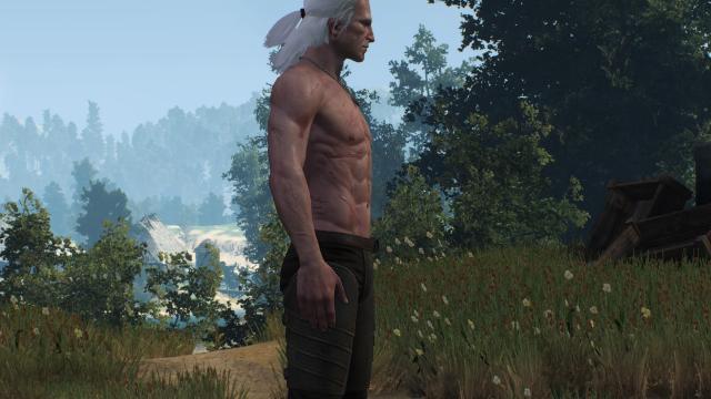 Худорлявий, але м'язистий Геральт / Skinnier Geralt's torso для The Witcher 3