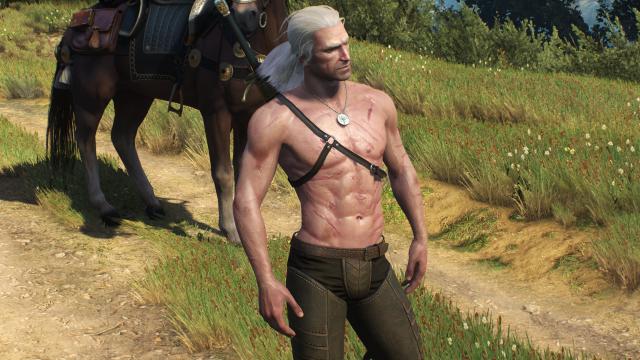 Худорлявий, але м'язистий Геральт / Skinnier Geralt's torso для The Witcher 3