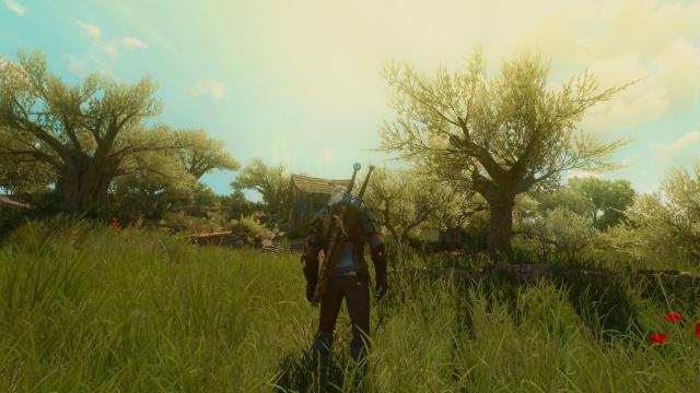 E3 Ultra Grass 420 для The Witcher 3