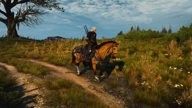 Roach 2.0 для The Witcher 3