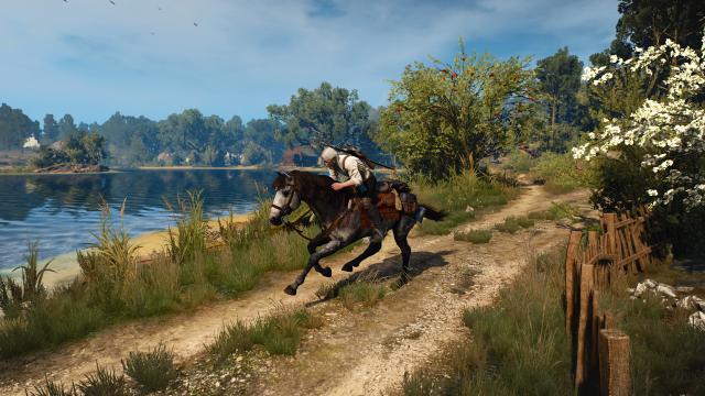 Roach 2.0 для The Witcher 3