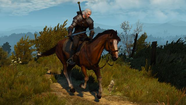 Roach 2.0 для The Witcher 3