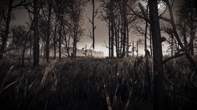 Плащ-невидимка / Invisibility Cloak для The Witcher 3