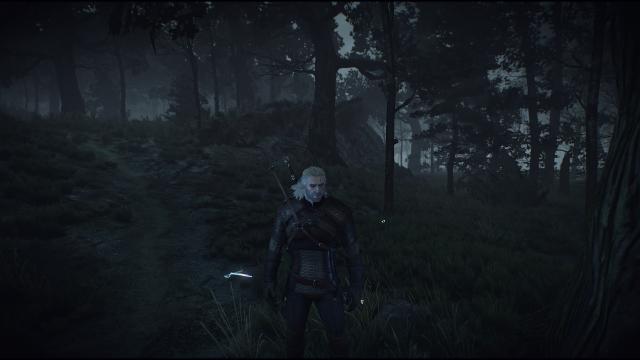 E3  E3Quen for The Witcher 3