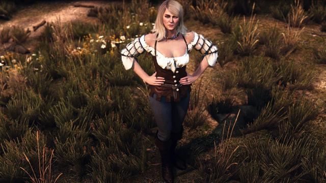 Нова ложа чарівників / New Lodge of Sorceresses для The Witcher 3