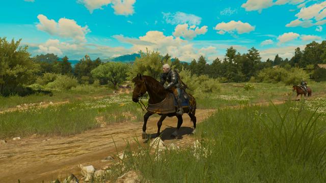 Roach 2.0 for The Witcher 3