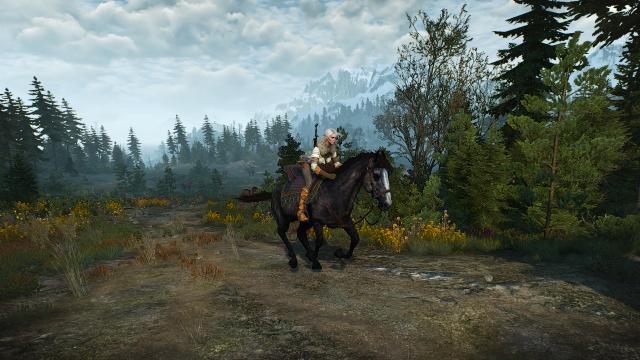 Roach 2.0 for The Witcher 3