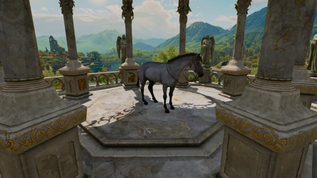 Roach 2.0 for The Witcher 3