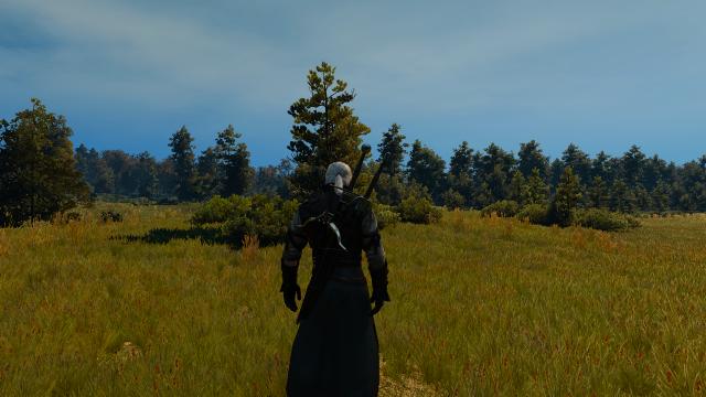 Корисне око Нехалени / Nehaleni Clear Weather для The Witcher 3