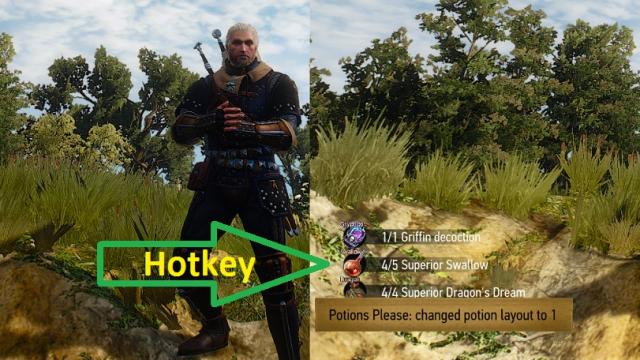Больше слотов для зелий и еды / Potions Please для The Witcher 3