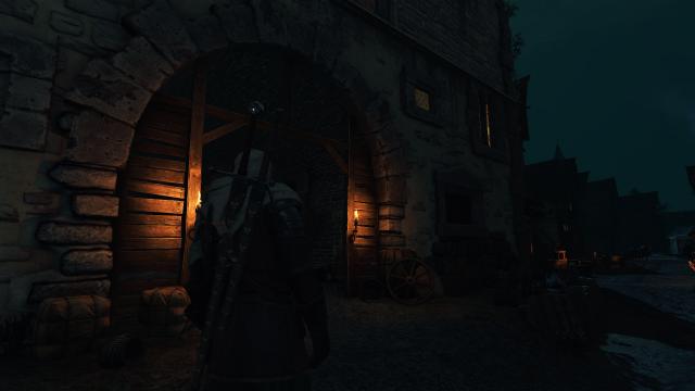True To Life Rework for The Witcher 3