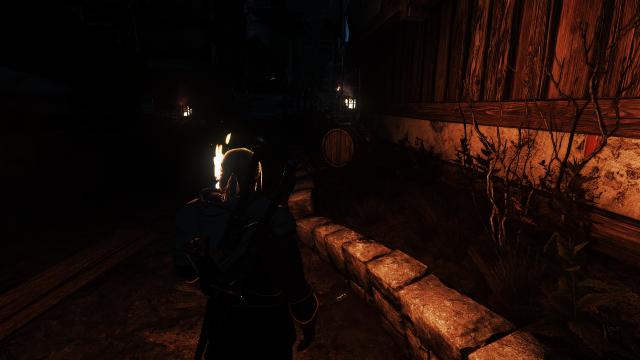 True To Life Rework for The Witcher 3