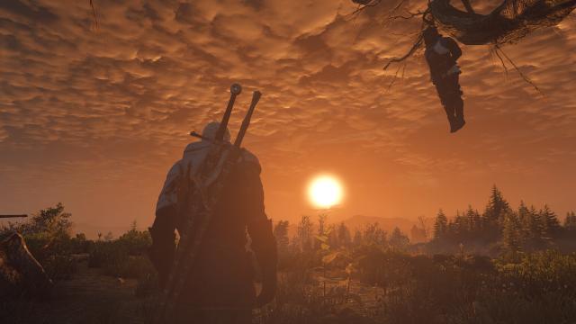 True To Life Rework for The Witcher 3