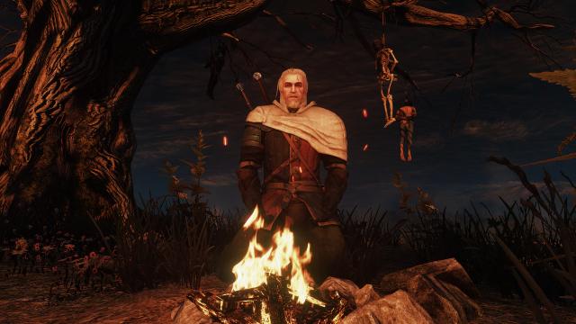 True To Life Rework for The Witcher 3