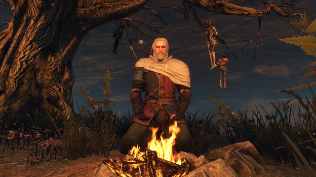True To Life Rework for The Witcher 3