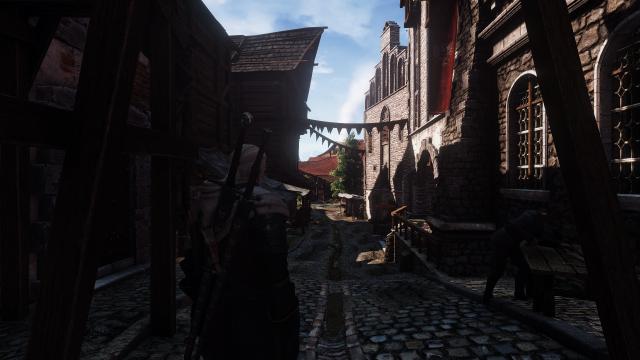 True To Life Rework for The Witcher 3
