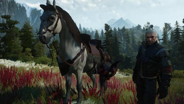 Поліпшене екіпірування коней / Better Horse Equipment для The Witcher 3