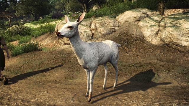 HDAR - HD Animals Reworked для The Witcher 3