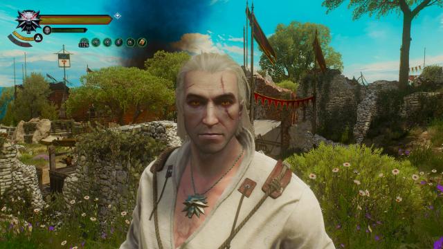 Вимкнення ефекту інтоксикації / Remove Intoxication Effect для The Witcher 3