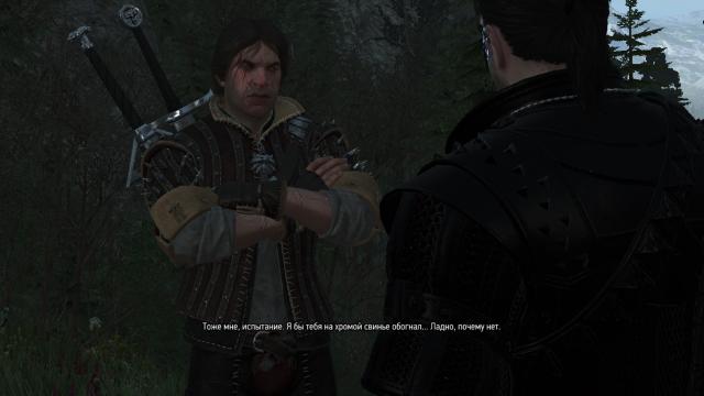 NPC Witchers School Swords for The Witcher 3
