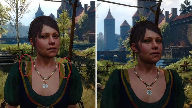 Nitpicker's Patch - various visual fixes for The Witcher 3