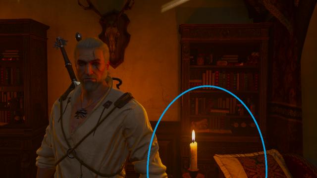 Nitpicker's Patch - various visual fixes for The Witcher 3
