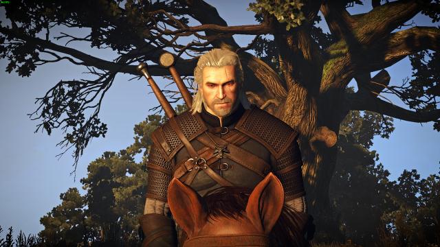 Bubsy’s 2014 Geralt - Реплейсер Геральта для The Witcher 3