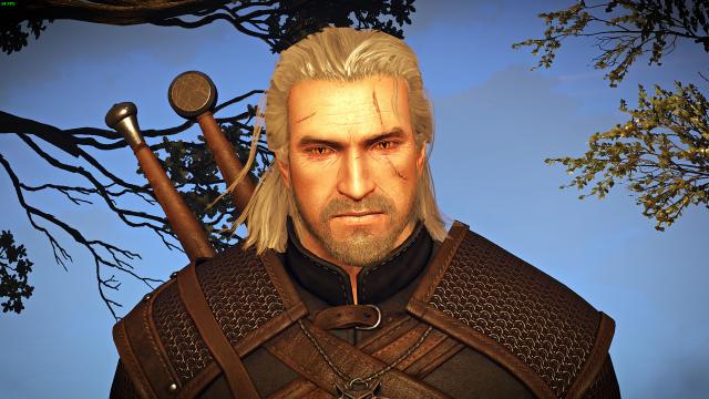 Bubsy’s 2014 Geralt - Реплейсер Геральта для The Witcher 3