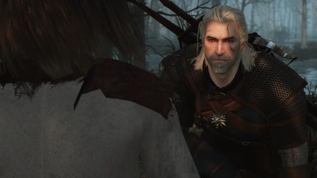 Bubsy’s 2014 Geralt - Реплейсер Геральта для The Witcher 3