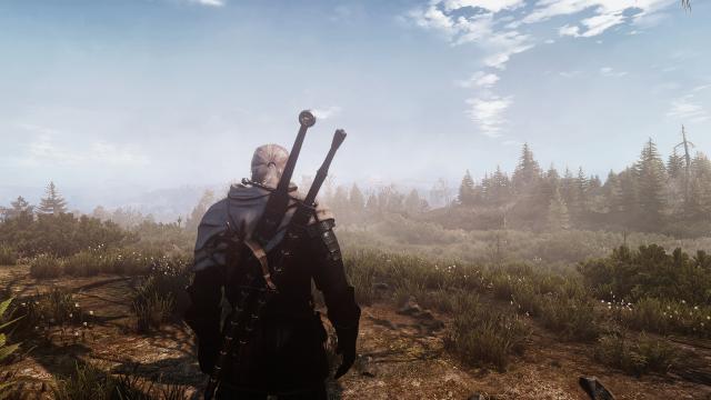 True To Life Rework для The Witcher 3