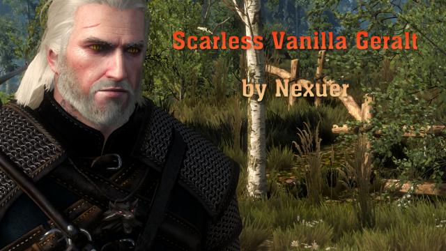 Геральт без шраму / Scarless Vanilla Geralt