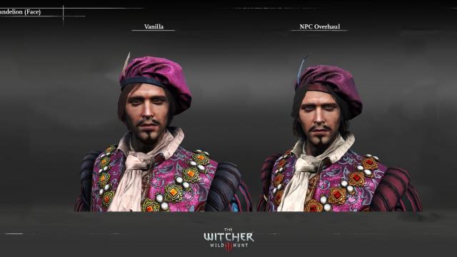 NPC Overhaul (Characters Redone) for The Witcher 3