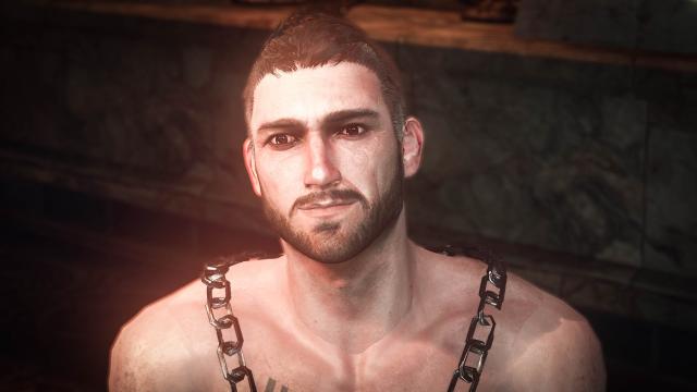Вернон с бородой / Beard for Vernon Roche для The Witcher 3