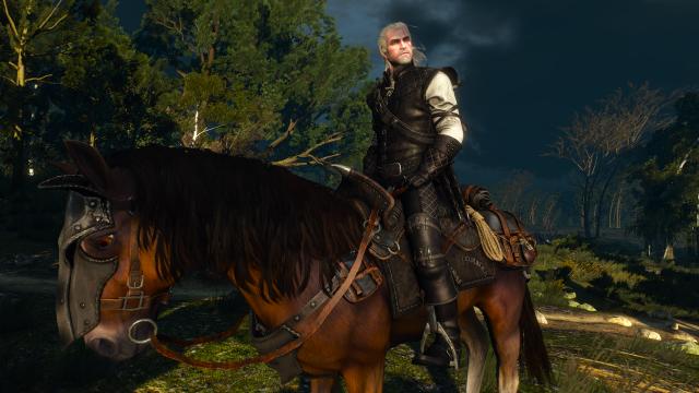 Sezon Burz Witcher's Gear для The Witcher 3