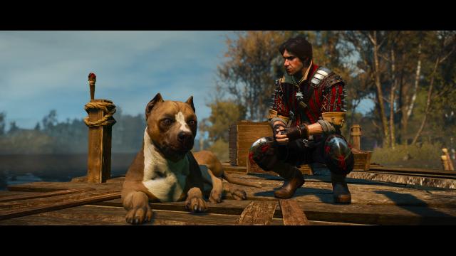 Глобальна переробка собак / Dog Appearance Overhaul aka DAO для The Witcher 3