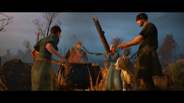 Глобальна переробка собак / Dog Appearance Overhaul aka DAO для The Witcher 3