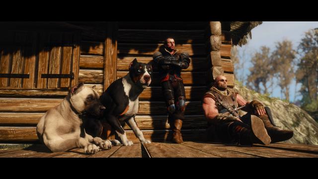 Глобальна переробка собак / Dog Appearance Overhaul aka DAO для The Witcher 3