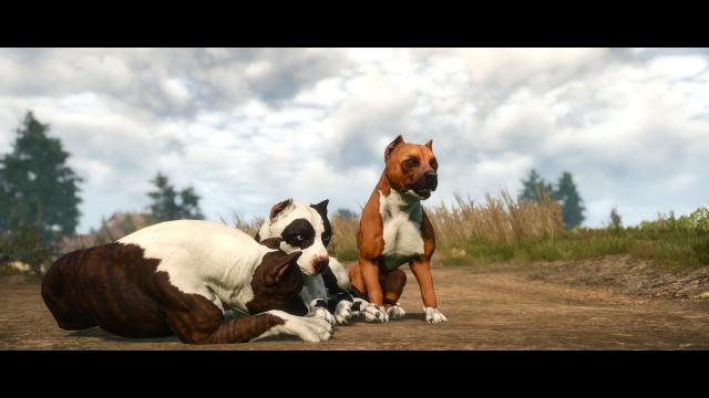 Глобальна переробка собак / Dog Appearance Overhaul aka DAO для The Witcher 3