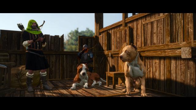 Глобальна переробка собак / Dog Appearance Overhaul aka DAO для The Witcher 3