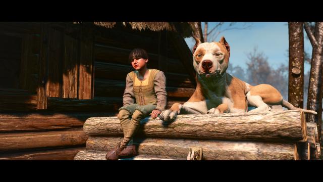 Глобальна переробка собак / Dog Appearance Overhaul aka DAO для The Witcher 3