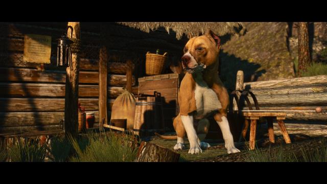 Глобальна переробка собак / Dog Appearance Overhaul aka DAO для The Witcher 3