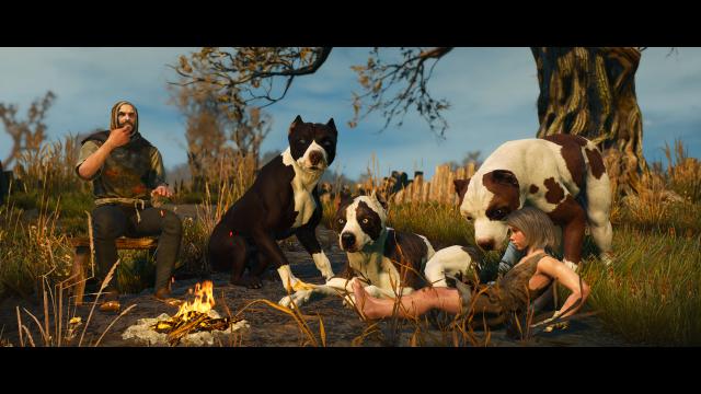 Глобальна переробка собак / Dog Appearance Overhaul aka DAO для The Witcher 3