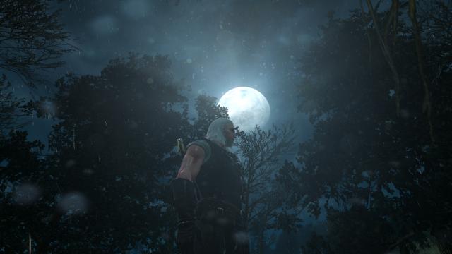 No Dirty Lens Effect for The Witcher 3
