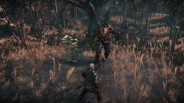 Голем з другого Відьмака / The Witcher 2 Golem